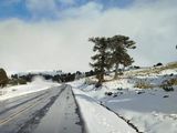 ¿Cómo se encuentra el Paso Pino Hachado este domingo?