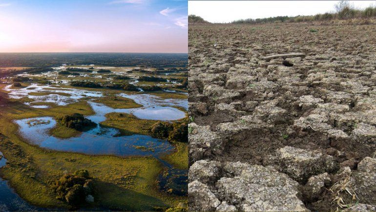 Crisis climática en Brasil: el gigante se está secando