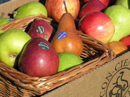 kleppe gana el premio a la excelencia agropecuaria 2025 kleppe gana el premio a la excelencia agropecuaria 2025