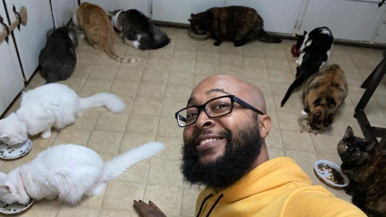 Viral: músico deja su carrera para dedicarse a rescatar gatos