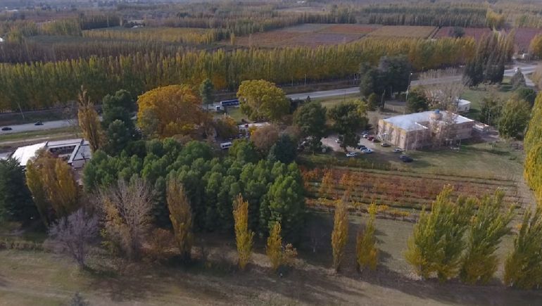 En la Facultad de Agrarias se reciben 30 profesionales por año y se inscriben 140. Es una carera cara y presencial