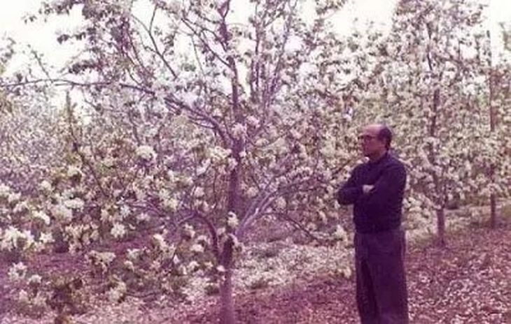 Más que un cultivo, una identidad: A pesar de la reconversión económica, la 36° edición demuestra que el pelón sigue latiendo en ela recuerdo del sueño de Gasparri. Más que un cultivo, una identidad: A pesar de la reconversión económica, la 36° edición demuestra que el pelón sigue latiendo en ela recuerdo del sueño de Gasparri.