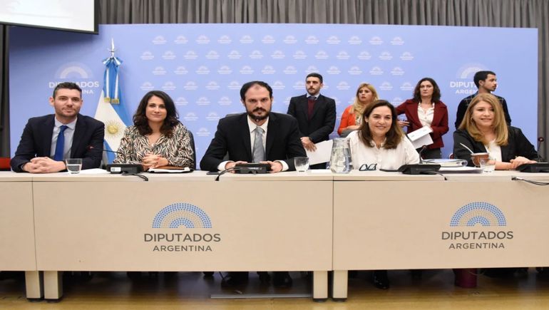 El dictamen se debatió en el plenario de tres comisiones de la Cámara de Diputados. El dictamen se debatió en el plenario de tres comisiones de la Cámara de Diputados.