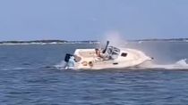 El cadáver de la ballena quedó varado sobre un banco de arena en aguas poco profundas. 