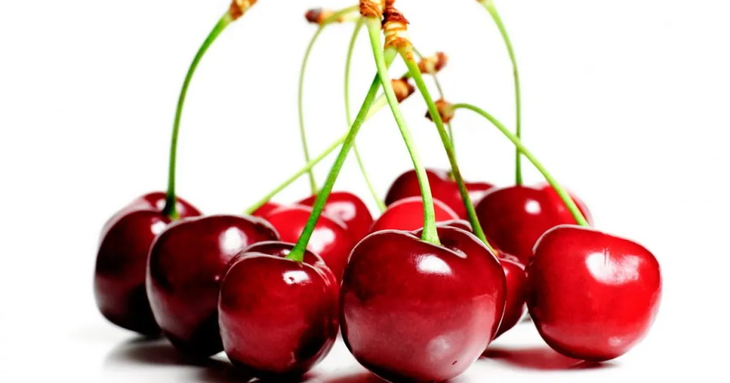 Chile es el principal proveedor de cerezas en el mercado chino. Chile es el principal proveedor de cerezas en el mercado chino.