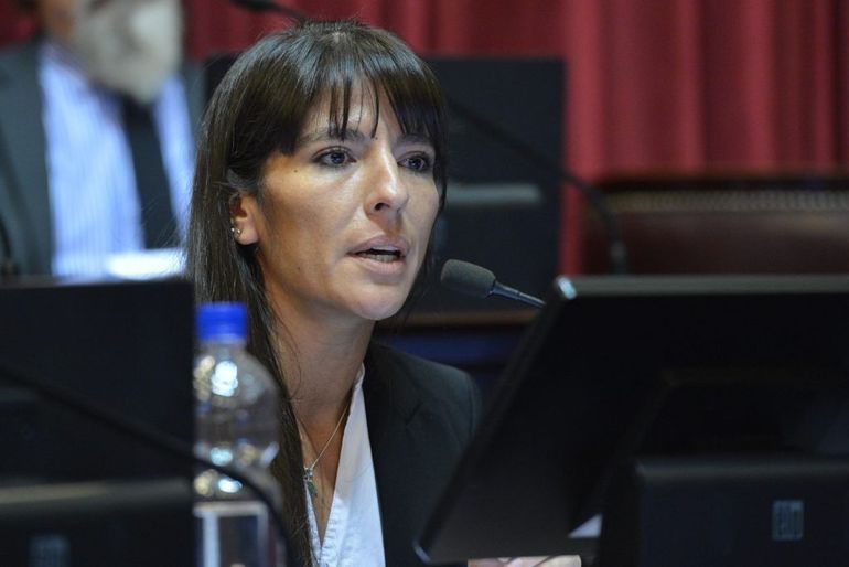 La vicepresidenta del Comité Nacional de la UCR, Pamela Verasay, criticó a Martín Lousteau por su frase. La vicepresidenta del Comité Nacional de la UCR, Pamela Verasay, criticó a Martín Lousteau por su frase.