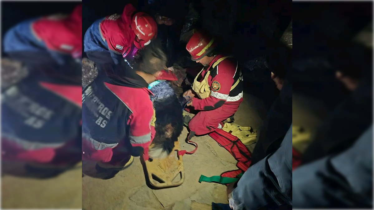 Rescate heroico: cayó 50 metros por un barranco y bomberos salvaron a Luna y a su familia.