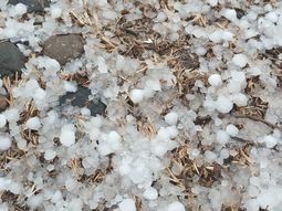 El granizo golpeó en ciertas áreas de Allen. El granizo golpeó en ciertas áreas de Allen.