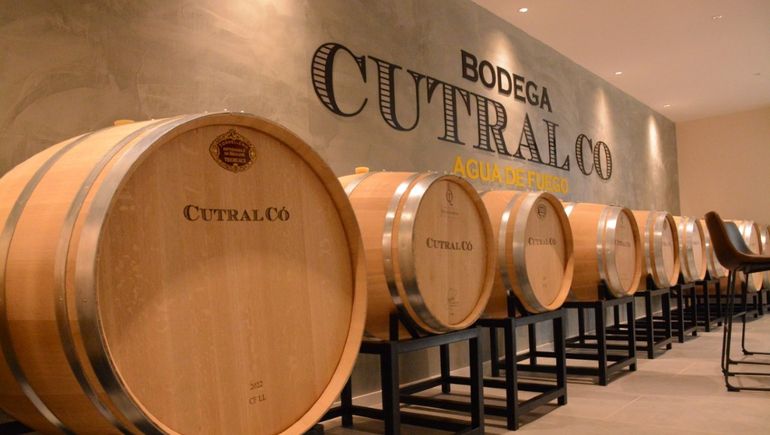 En nueve fotos, Cutral Co ya tiene su bodega y sus vinos