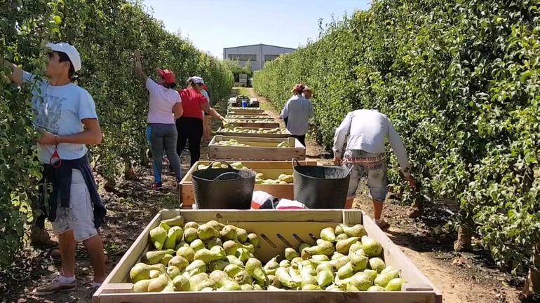 La brecha entre lo que cobra el productor y el precio de góndola se amplió en julio.