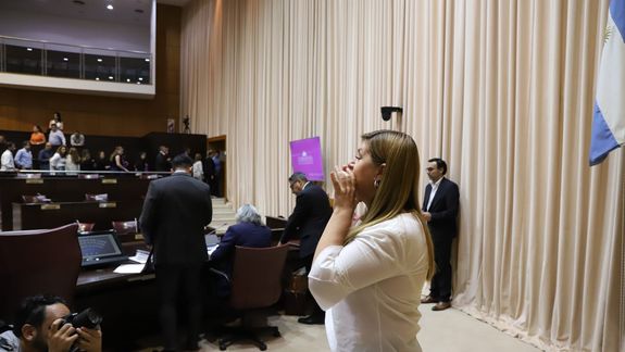 Gloria Ruiz cruzó a los diputados que la inhabilitaron. Pero mantuvo un cruce fuerte con Claudio Domínguez del MPN.