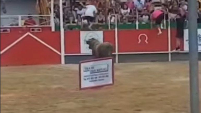 Un toro saltó las tribunas e hirió a 17 personas