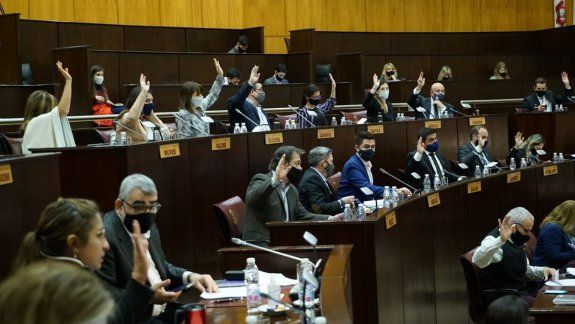 Una diputada provincial de Neuquén dio positivo de coronavirus