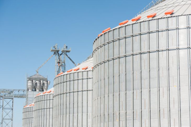 Fernández recibirá 11.111 millones de dólares más que el anterior jefe de Estado en concepto de retenciones. Foto: INTA Fernández recibirá 11.111 millones de dólares más que el anterior jefe de Estado en concepto de retenciones. Foto: INTA