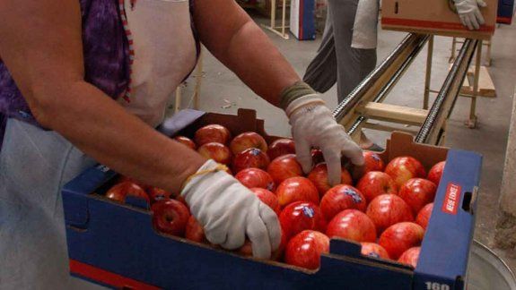 Peras y manzanas sufrirán un recorte de $450 millones