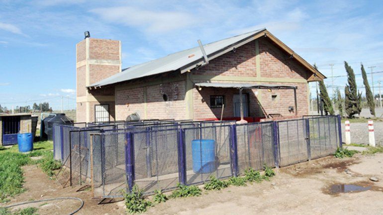 Violento asalto de motochorros en el matadero de Colonia Nueva Esperanza