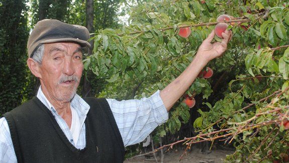 La historia de Ramón Tapia: de aprendiz de ladrillero a productor para ganarse la vida