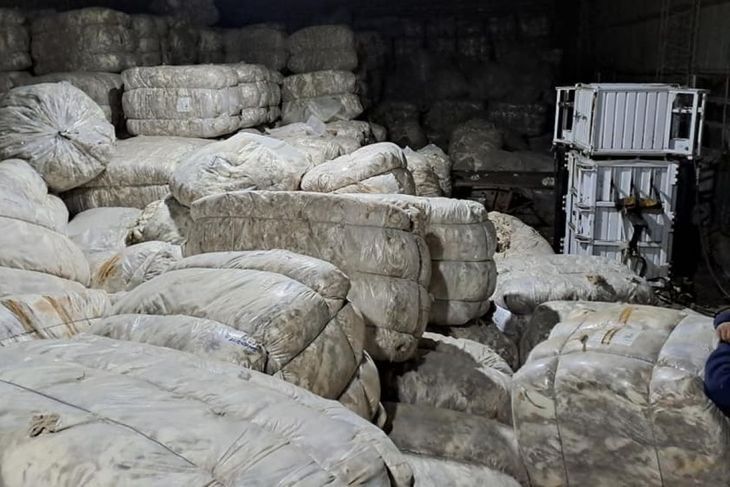 Las expectativas para la presente zafra son positivas en la mayor parte de la Patagonia.