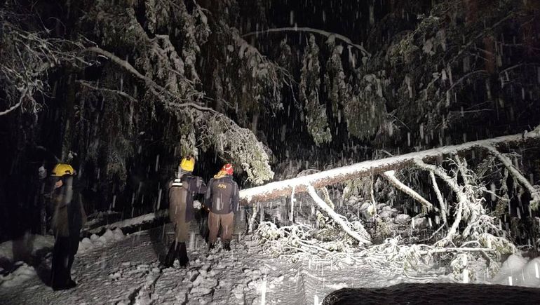 La nieve no da tregua en Neuquén: pasos cerrados, camiones varados y turistas rescatados