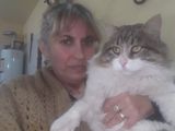 Adoptó un gato bebé y no para de crecer