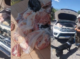 La carne que quería ingresar de contrabando estaba ubicada alrededor de l motor de la camioneta. La carne que quería ingresar de contrabando estaba ubicada alrededor de l motor de la camioneta.