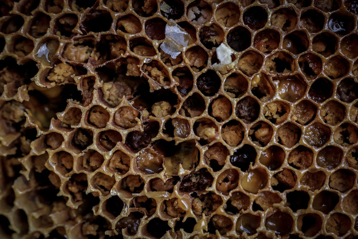 Producción de miel pura en Ankara, Turquía. El país cuenta con alrededor de 100.000 apicultores. Foto: gentileza Producción de miel pura en Ankara, Turquía. El país cuenta con alrededor de 100.000 apicultores. Foto: gentileza