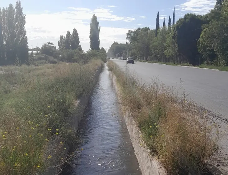 Opera sobre unas 12.000 hectáreas irrigables. Foto: gentileza Opera sobre unas 12.000 hectáreas irrigables. Foto: gentileza