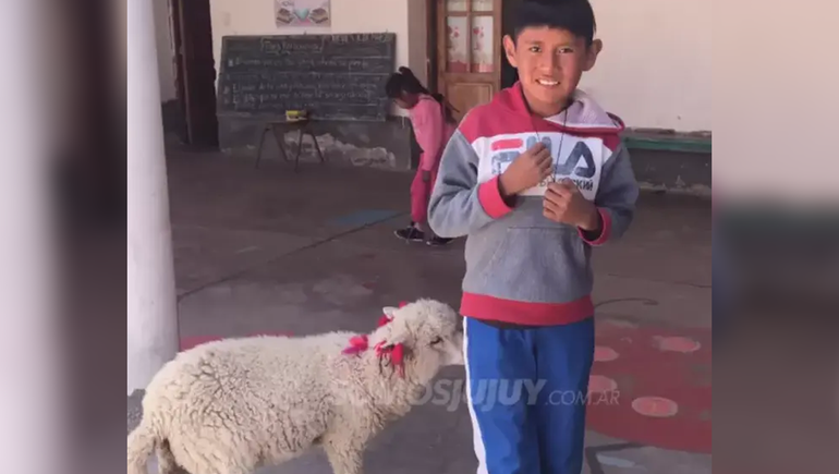 Un nene fue a la escuela con su oveja para no dejarla sola en su casa