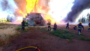 La impactante imagen que captó el medio local LCR.