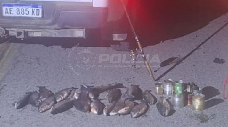 Detectaron 11 infracciones por pesca nocturna y secuestraron 18 truchas en un operativo