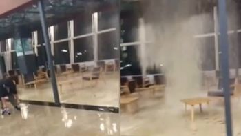 Se conocieron imágenes del peligroso momento, el cual fue registrado por una testigo que se encontraba en el lugar. Se conocieron imágenes del peligroso momento, el cual fue registrado por una testigo que se encontraba en el lugar.