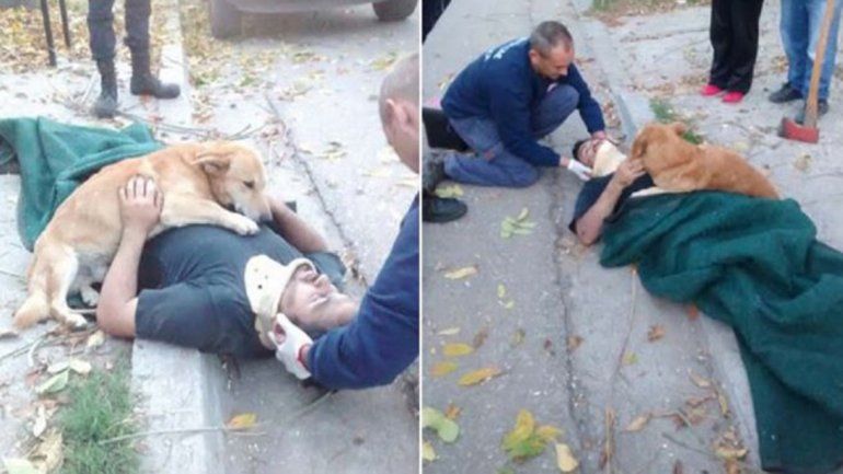 La emotiva reacción de un perro al ver a su dueño accidentado