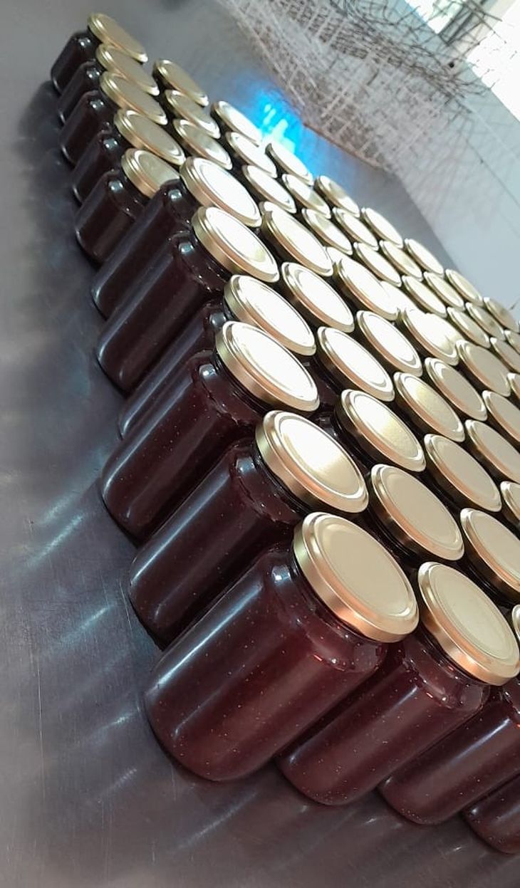 José Olave, productor local, se enorgullece de sus membrillos de variedad injertada, los cuales provee a la fábrica y son clave para el afamado dulce. Foto: gentileza. José Olave, productor local, se enorgullece de sus membrillos de variedad injertada, los cuales provee a la fábrica y son clave para el afamado dulce. Foto: gentileza.