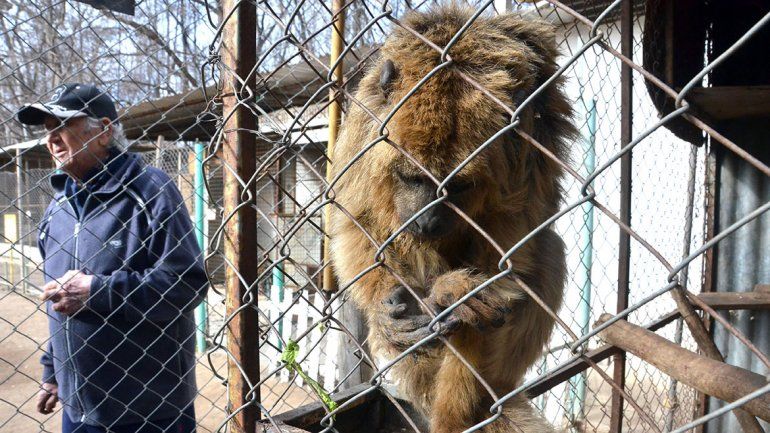 El Refugio Luan funcionará hasta mitad de año