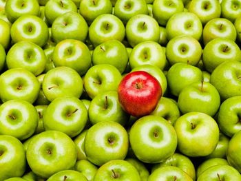 Menos manzana en stock. El mercado espera un equilibrio entre la oferta y la demanda.