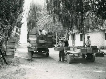 La historia de los Di Battista y los Lamperti es también la historia de Allen. Foto: gentileza