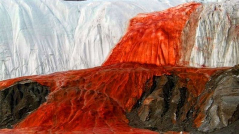 El flujo rojizo emerge desde el interior del glaciar Taylor en la Antártida. | LM Neuquen El flujo rojizo emerge desde el interior del glaciar Taylor en la Antártida.