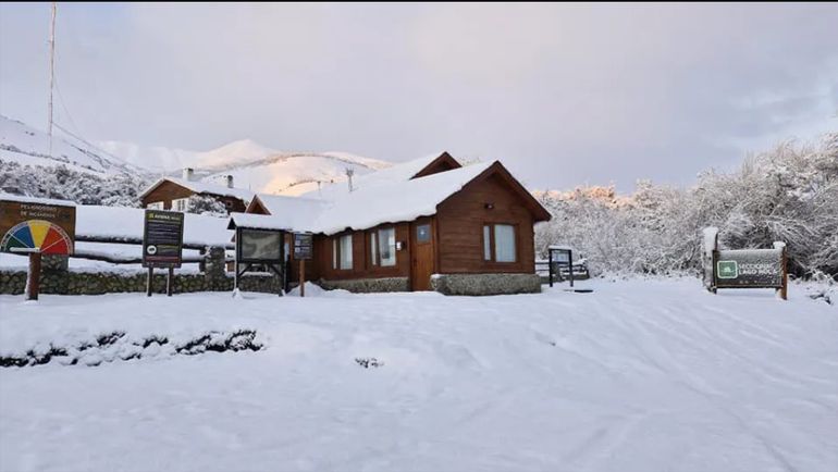 Los hallazgos de los fetos en la nieve fueron en la Seccional Lago Roca, en el sur del Parque Nacional Los Glaciares, en julio de 2024. Los hallazgos de los fetos en la nieve fueron en la Seccional Lago Roca, en el sur del Parque Nacional Los Glaciares, en julio de 2024.