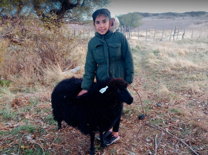 Remate final del Concurso Tromen en Expo Bovinos: fondos que garantizan continuidad del programa educativo. Foto: SRN