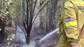 El incendio alertó a los vecinos de la ciudad. | LM Neuquen El incendio alertó a los vecinos de la ciudad.