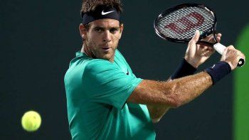 del potro debuto con un triunfo ante el japones sugita del potro debuto con un triunfo ante el japones sugita