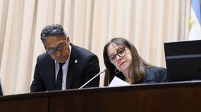 Zulma Reina reemplazó a la suspendida Gloria Ruiz.