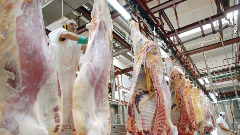 La reactivación de la industria frigorífica es uno de los objetivos a partir de la unificación de las zonas.