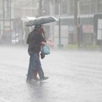 Según precisó el organismo, se esperan tormentas aisladas, pudiendo ser algunas fuertes. | LM Neuquen Según precisó el organismo, se esperan tormentas aisladas, pudiendo ser algunas fuertes.