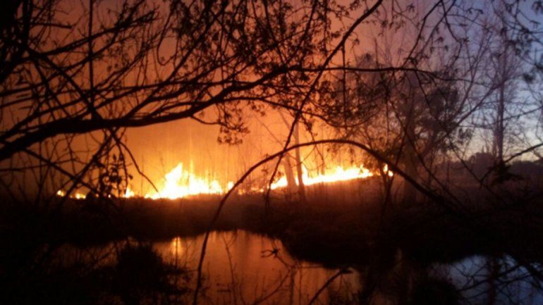 Más de 30 bomberos apagaron un gran incendio en una chacra de Plottier