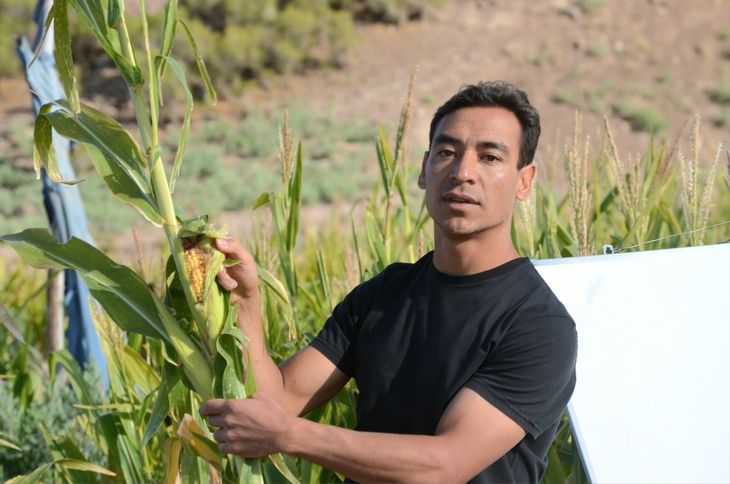 Damián González, agrónomo de la unicipalidad de Tricao Malal, asesora a los productores en el proceso de aprendizaje para dejar atrás el individualismo y acceder a un precio justo. Fotos: gentileza Damián González, agrónomo de la unicipalidad de Tricao Malal, asesora a los productores en el proceso de aprendizaje para dejar atrás el individualismo y acceder a un precio justo. Fotos: gentileza
