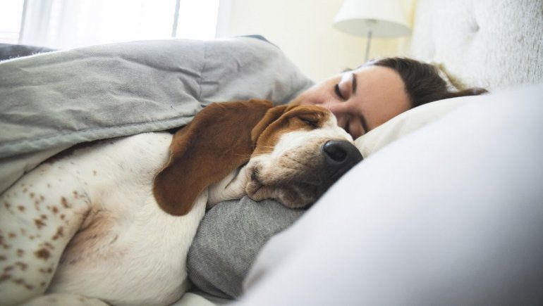 Soñar con perritos: puede ser algo bueno y malo