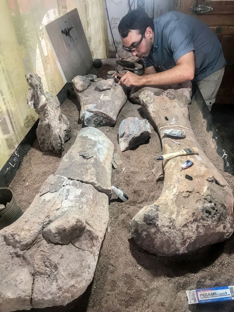 Investigadores, científicos y paleontólogos de todo el mundo visitan Proyecto Dino durante todo el año. Algunos eligen realizar sus investigaciones científicas en el lugar. Investigadores, científicos y paleontólogos de todo el mundo visitan Proyecto Dino durante todo el año. Algunos eligen realizar sus investigaciones científicas en el lugar.