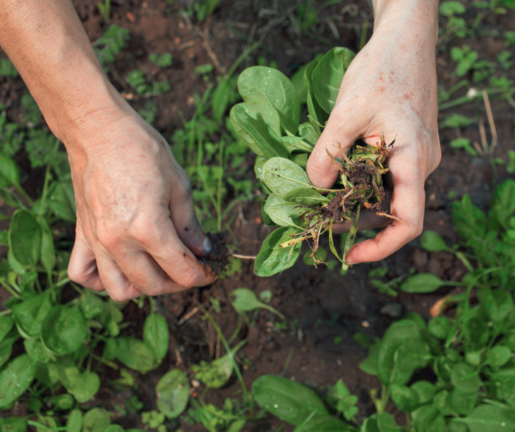 En Naunauco, a 35 kms. de Chos Malal, Martina se hace tiempo para todo. En Naunauco, a 35 kms. de Chos Malal, Martina se hace tiempo para todo.