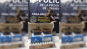 Tussi, el perro antinarcóticos que desbarató una red de tráfico de anestésicos | LM Neuquen Tussi, el perro antinarcóticos que desbarató una red de tráfico de anestésicos